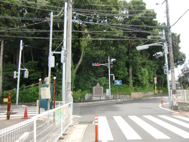 千葉県松戸市大谷口 小金城の写真1