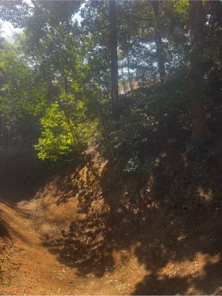 小金城の登城記録(やさかさん)