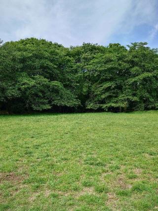 赤塚城の登城記録(気分は上昇さん)