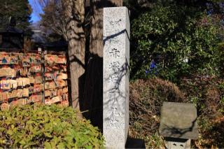 赤塚城の登城記録(こにーさん)