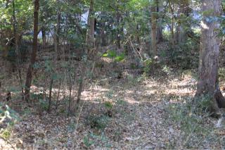 志村城（板橋城・篠田城）の登城記録(こにーさん)