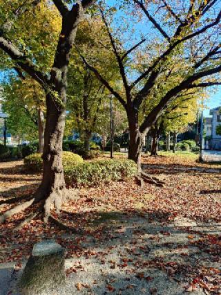 葛西城の登城記録(まさひろさん)