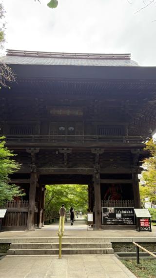 奥沢城の登城記録(みねさん)