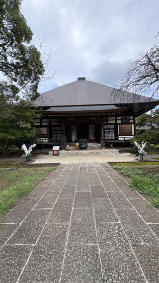 奥沢城の登城記録(みねさん)