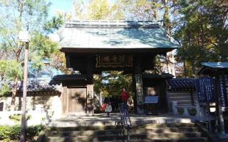 奥沢城の登城記録(けいいちさん)