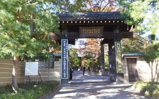 奥沢城の登城記録(けいいちさん)