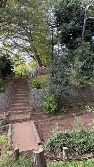 世田谷城の登城記録(みねさん)