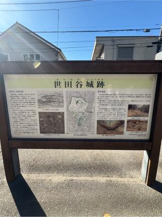 世田谷城の登城記録(無極さん)