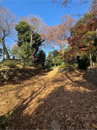 世田谷城の登城記録(無極さん)