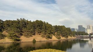 江戸城（千代田城・東京城）の登城記録(みねさん)