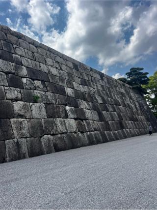 江戸城（千代田城・東京城）の登城記録(やさかさん)