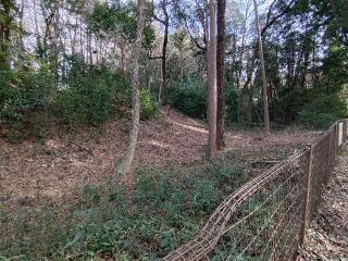 石神井城の登城記録(まさひろさん)