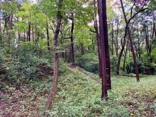 石神井城の登城記録(こにーさん)