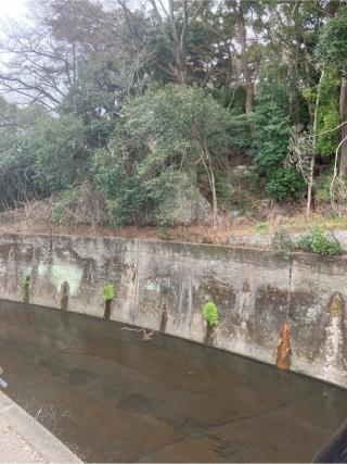 練馬城の登城記録(監督さん)