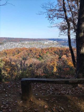 網代城の登城記録(マリリさん)