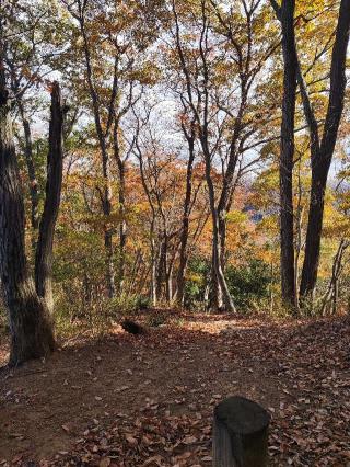 網代城の登城記録(マリリさん)