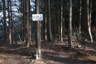 辛垣城の登城記録(こにーさん)