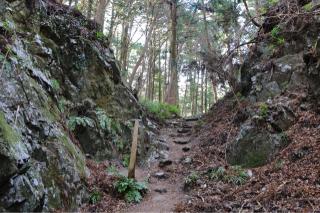 辛垣城の登城記録(こにーさん)