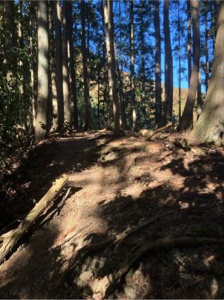 辛垣城の登城記録(監督さん)