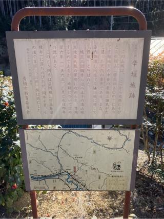 辛垣城の登城記録(監督さん)