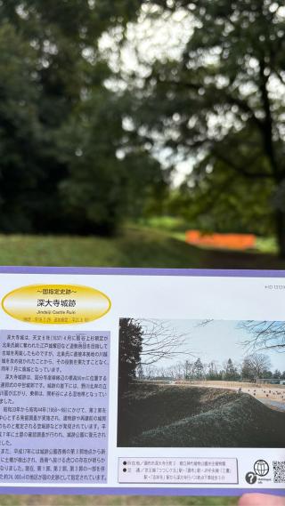 深大寺城の登城記録(みねさん)