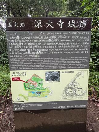 深大寺城の登城記録(無極さん)