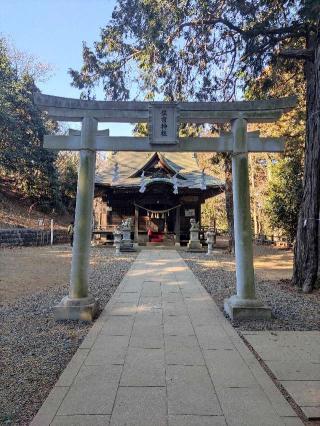 片倉城の登城記録(マリリさん)