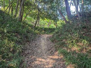 滝山城の登城記録(泰成さん)