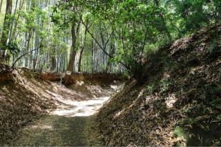滝山城の登城記録(こにーさん)