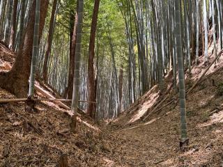 滝山城の登城記録(Wattさん)