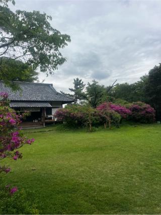 滝山城の登城記録(やさかさん)
