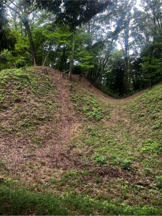 滝山城の登城記録(やさかさん)
