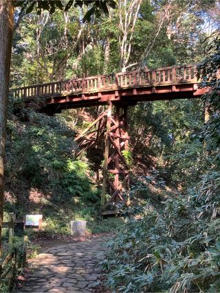 滝山城の登城記録(監督さん)