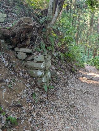 八王子城の登城記録(泰成さん)