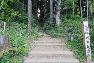 八王子城の登城記録(こにーさん)