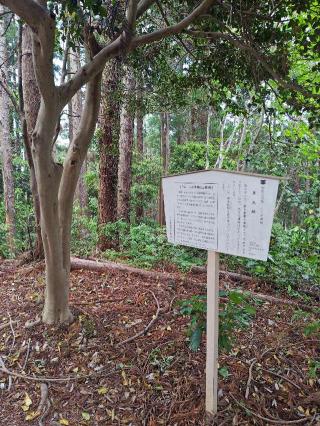 八王子城の登城記録(yossyさん)