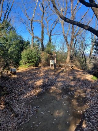 初沢城（椚田城、高乗寺城）の登城記録(監督さん)