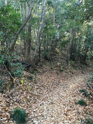 初沢城（椚田城、高乗寺城）の登城記録(監督さん)