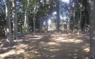 高幡城の登城記録(けいいちさん)