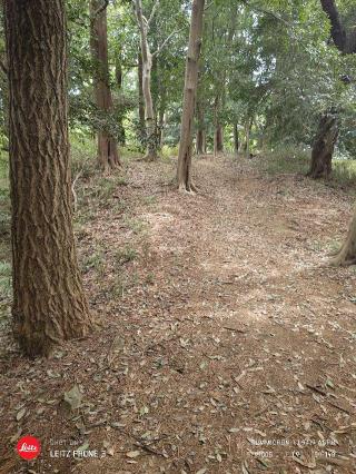 高幡城の登城記録(snowさん)