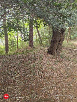 高幡城の登城記録(snowさん)