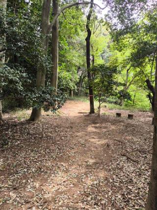 高幡城の登城記録(マナたけるなさん)