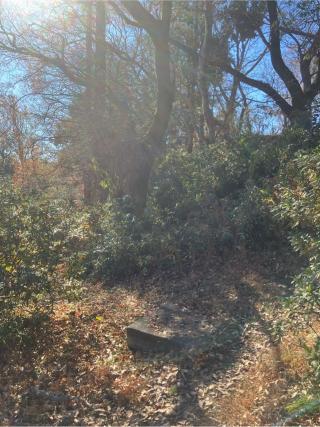 平山城の登城記録(監督さん)