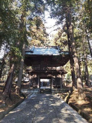 小山田城の登城記録(マリリさん)