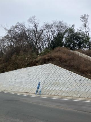 殿丸城の登城記録(監督さん)