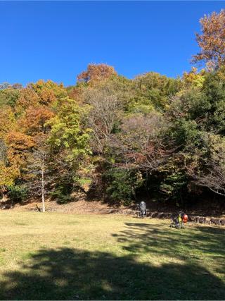 三輪城（沢山城）の登城記録(監督さん)