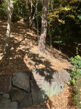 三輪城（沢山城）の登城記録(監督さん)