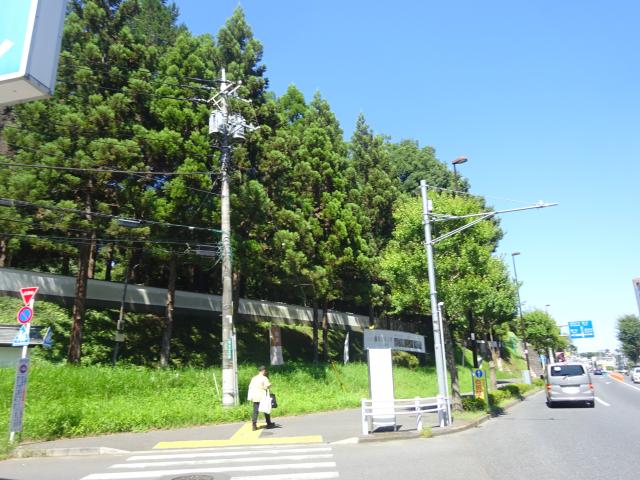 元木山城の写真1