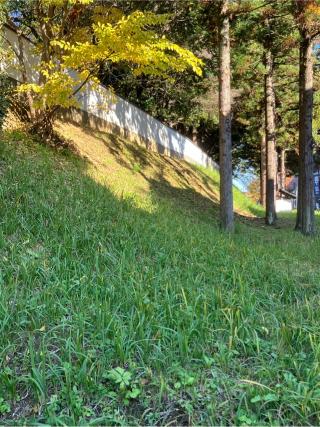 元木山城の登城記録(監督さん)