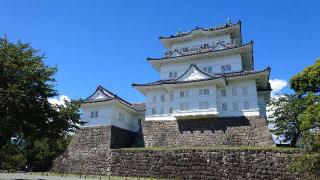 小田原城の登城記録(アリケンさん)